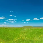 Spring Security 5.7.0-M2 发布-SpringForAll社区